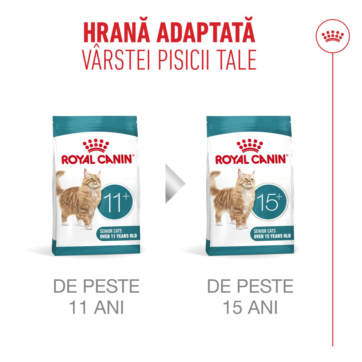 ROYAL CANIN Feline Health Nutrition Healthy Ageing 11+, hrană uscată pisici senior, 2kg