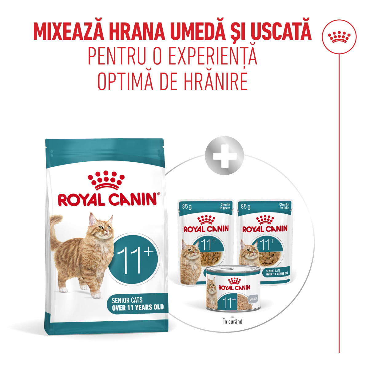 ROYAL CANIN Feline Health Nutrition Healthy Ageing 11+, hrană uscată pisici senior, 2kg