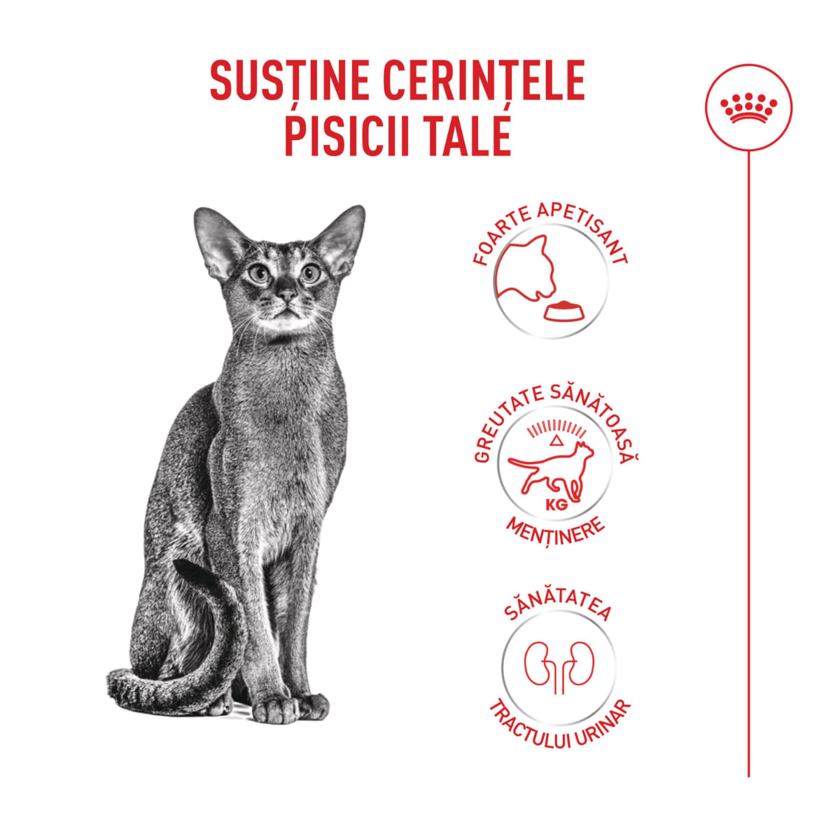 ROYAL CANIN Feline Health Nutrition Fussy, hrană uscată pisici, apetit capricios, 4kg