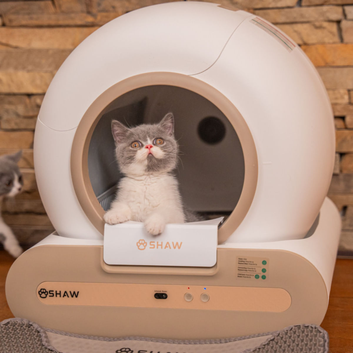 SHAW Smart Plus, litieră automată pisici, cu filtru, auto-curățare, aplicație mobilă, ionizare, alb, ⌀24.5x53x48.5x50.5 cm