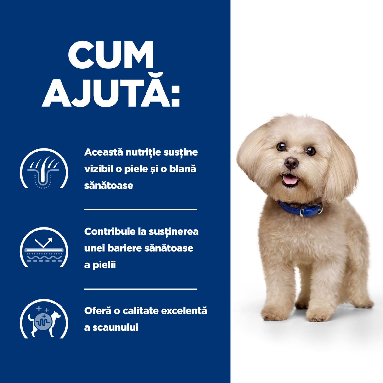 HILL&#039;S Prescription Diet z/d Food Sensitivities Mini, dietă veterinară câini, hrană uscată, afecțiuni dermatologice și digestive HILL&#039;S Prescription Diet z/d Food Sensitivities Mini, dietă veterinară câini, hrană uscată, piele &amp; blana, sistem digestiv, 6