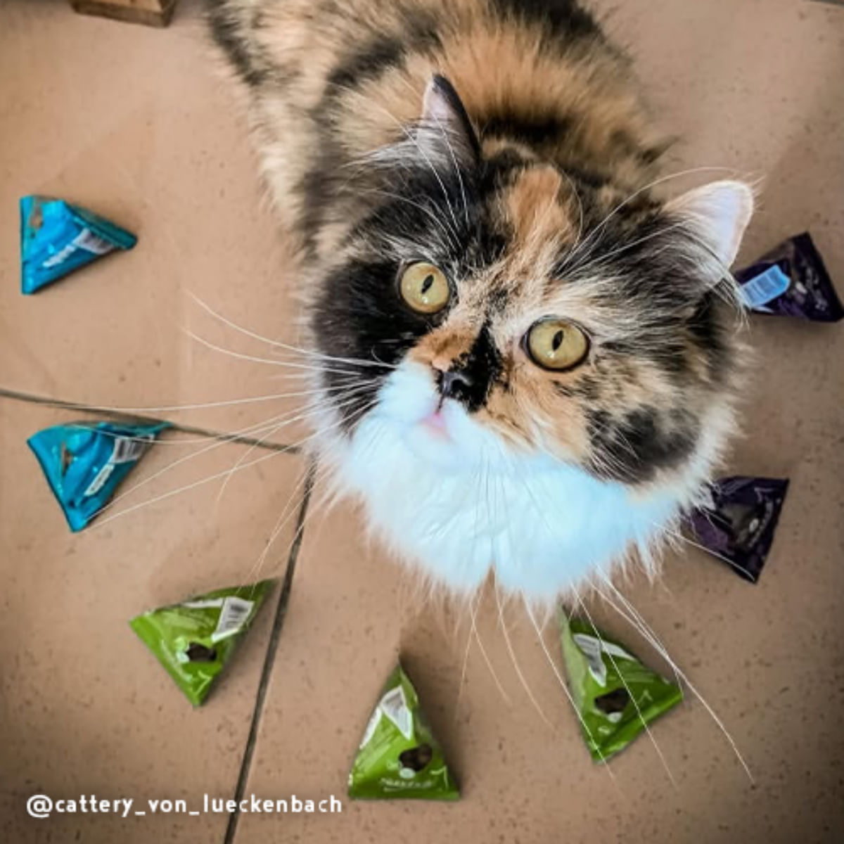 SANABELLE Hairball-Snack, Pasăre, recompense pisici, limitarea ghemurilor de blană, 20g