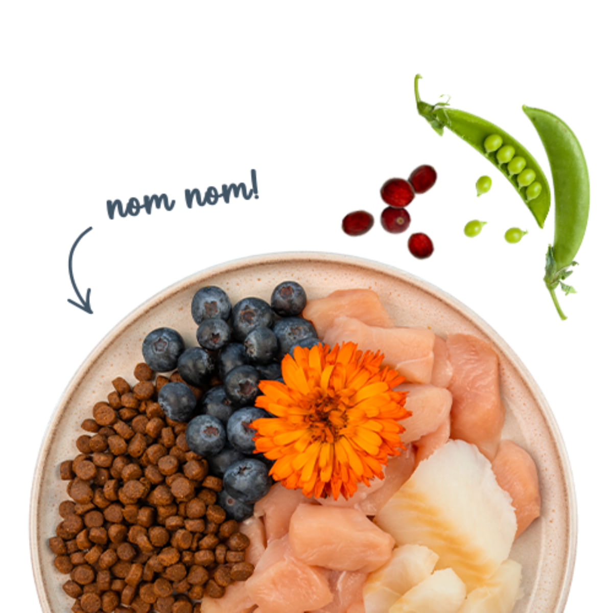 SANABELLE Adult, Păstrăv și Afine, hrană uscată pisici, 8kg