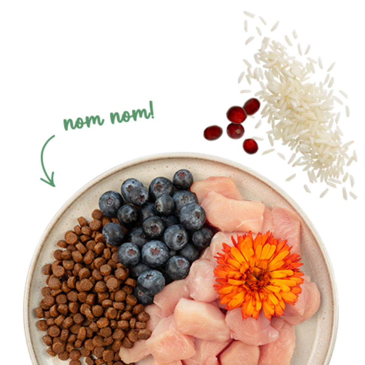 SANABELLE Sensitive, Pui și Afine, hrană uscată pisici, sistem digestiv, 400g