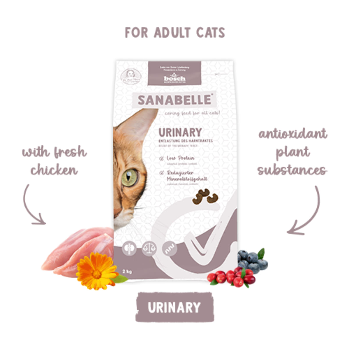 SANABELLE Urinary, Pasăre, hrană uscată pisici, sistem urinar, 400g