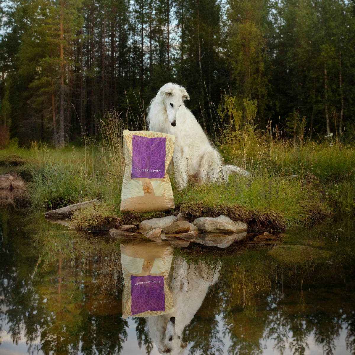 ESSENTIAL Highland Living, Curcan și Somon, hrană uscată fără cereale câini ESSENTIAL Highland Living M-XL, Curcan și Somon, hrană uscată fără cereale câini, 10kg