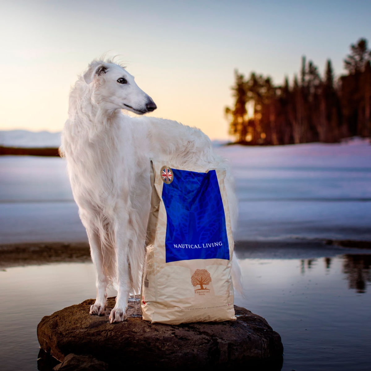 ESSENTIAL Nautical Living, Somon și Păstrăv, hrană uscată fără cereale câini ESSENTIAL Nautical Living, M-XL, Somon și Păstrăv, hrană uscată fără cereale câini, 10kg
