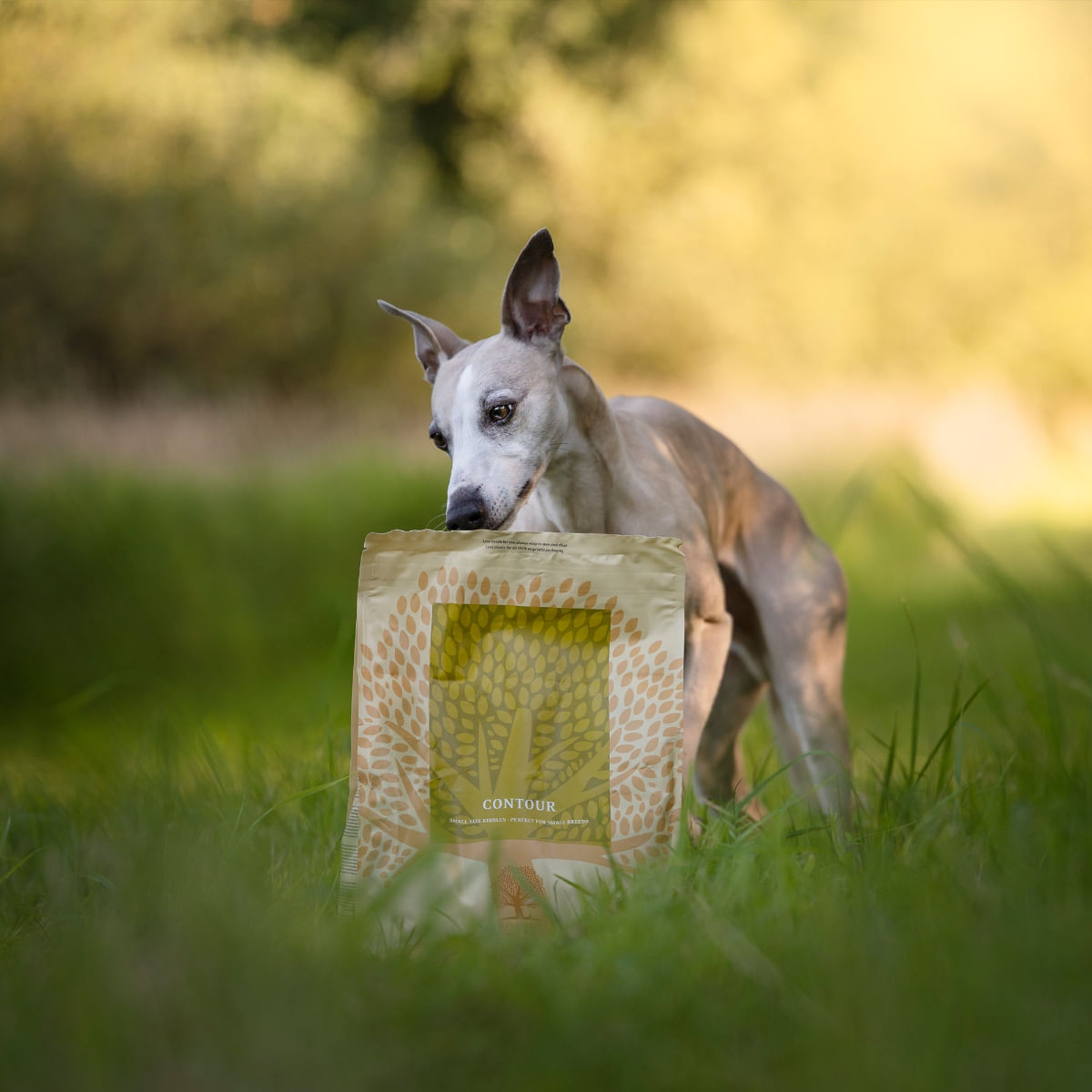 ESSENTIAL Contour, Pui și Rață, hrană uscată fără cereale câini sterilizați, obezitate ESSENTIAL Contour XS-S, Pui și Rață, hrană uscată fără cereale câini sterilizați, obezitate, 2.5kg