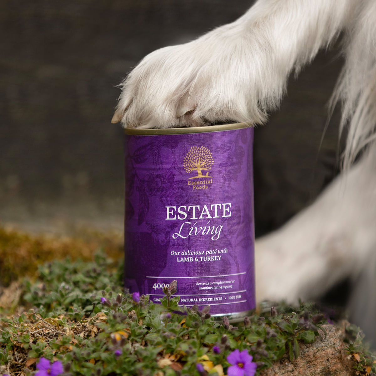 ESSENTIAL Estate Living, XS-XL, Miel și Curcan, conservă hrană umedă fără cereale câini, (pate), 400g