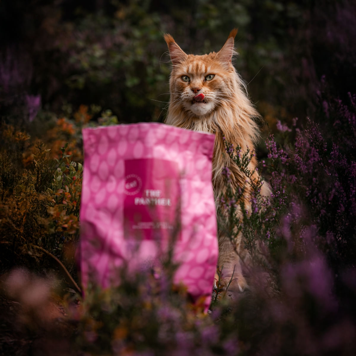 ESSENTIAL Panther, Somon și Pește alb, hrană uscată fără cereale pisici sterilizate senior, 1.5kg