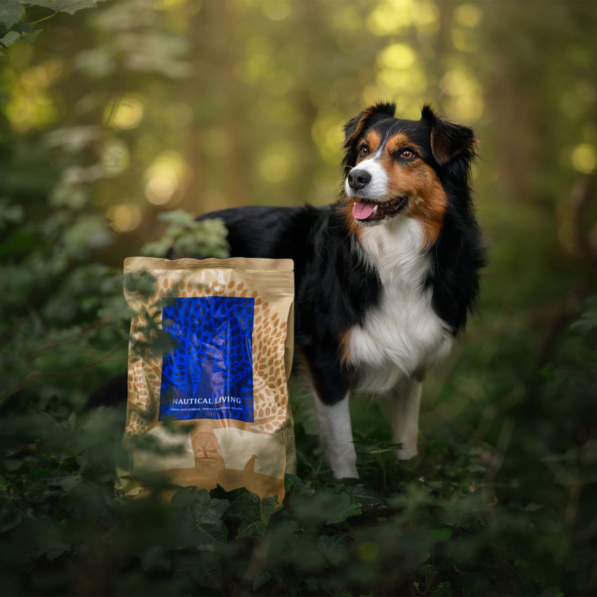 ESSENTIAL Nautical Living, Somon și Păstrăv, hrană uscată fără cereale câini ESSENTIAL Nautical Living, XS-S, Somon și Păstrăv, hrană uscată fără cereale câini, 2.5kg