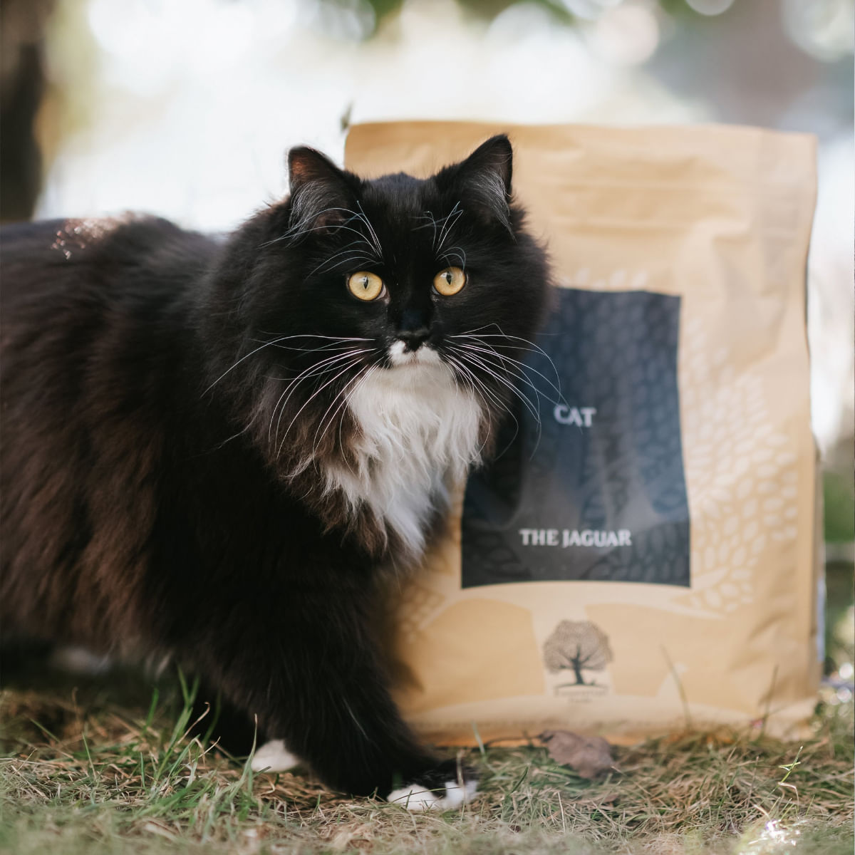 ESSENTIAL Jaguar, Rață și Pui, hrană uscată fără cereale pisici, 1.5kg