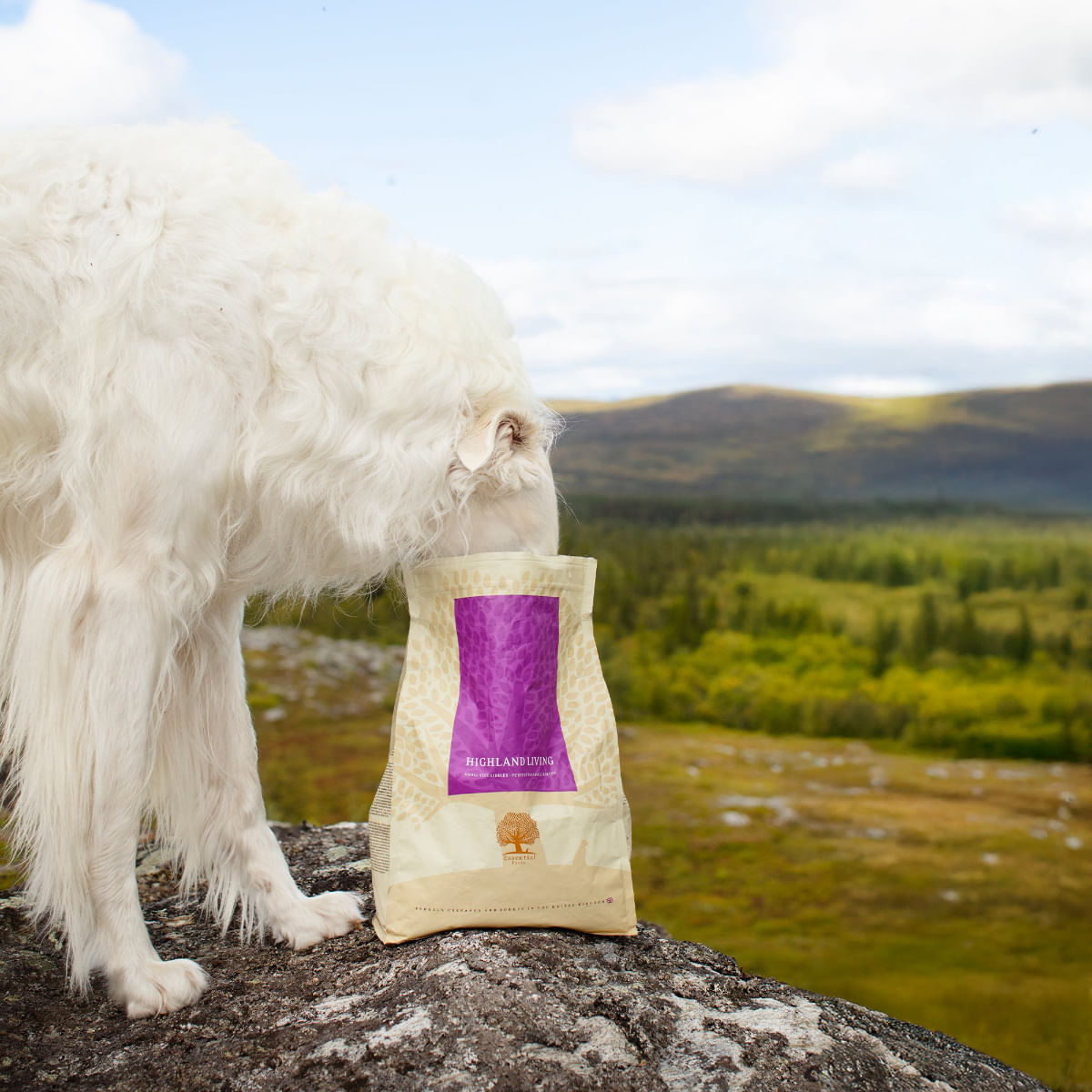 ESSENTIAL Highland Living, Curcan și Somon, hrană uscată fără cereale câini ESSENTIAL Highland Living, XS-S, Curcan și Somon, hrană uscată fără cereale câini, 2.5kg