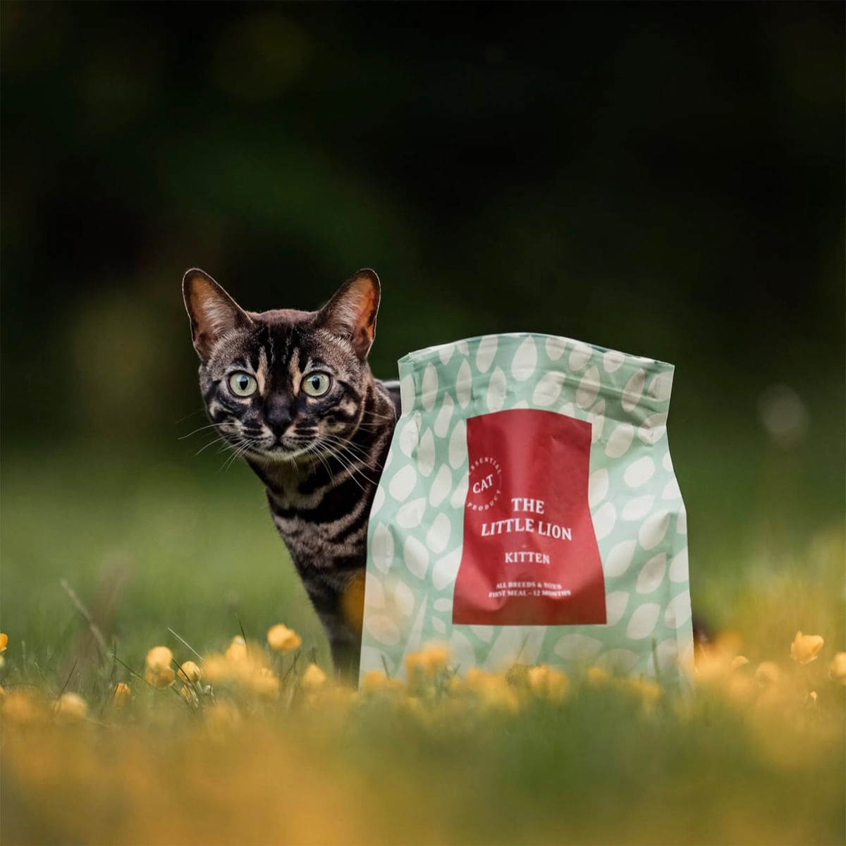 ESSENTIAL Little Lion, Pui și Rață, hrană uscată fără cereale pisici junior, 1.5kg