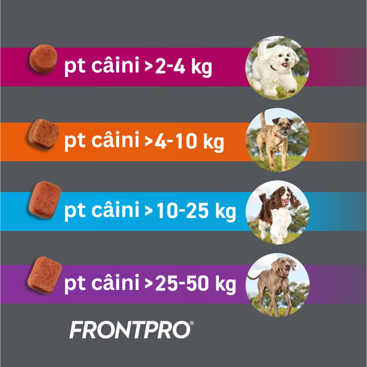 FRONTPRO, deparazitare externa caini, comprimate masticabile FRONTPRO, deparazitare externa caini, M(4 - 10kg), comprimate masticabile, 28mg x 3buc - Image 3