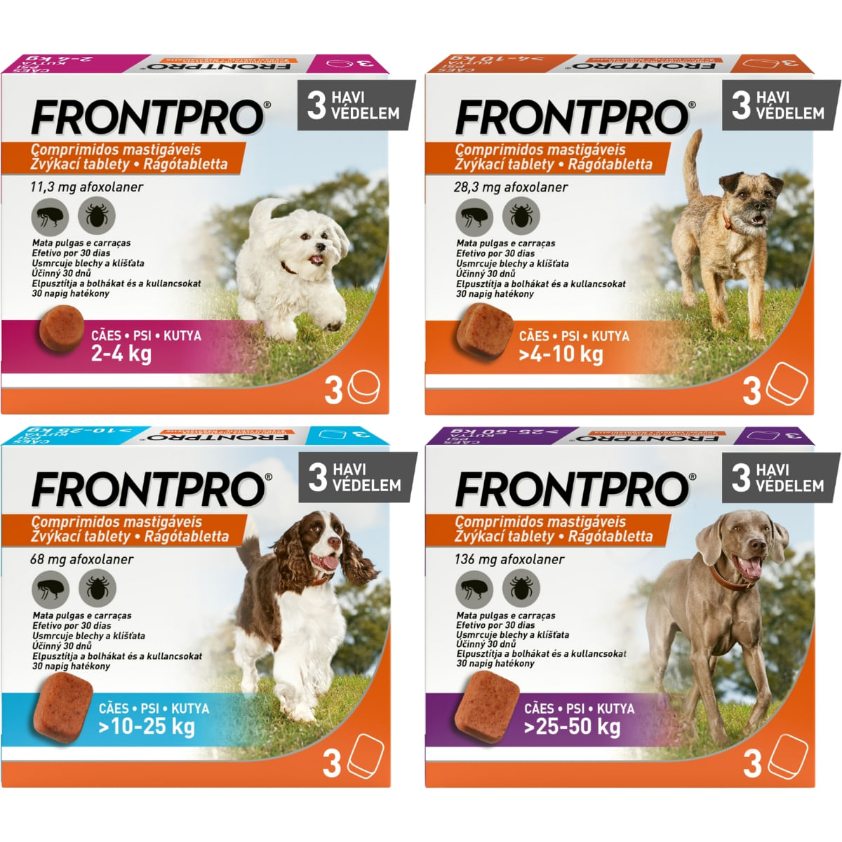FRONTPRO, deparazitare externa caini, comprimate masticabile FRONTPRO, deparazitare externa caini, L(10 - 25kg), comprimate masticabile, 68mg x 3buc - Image 4