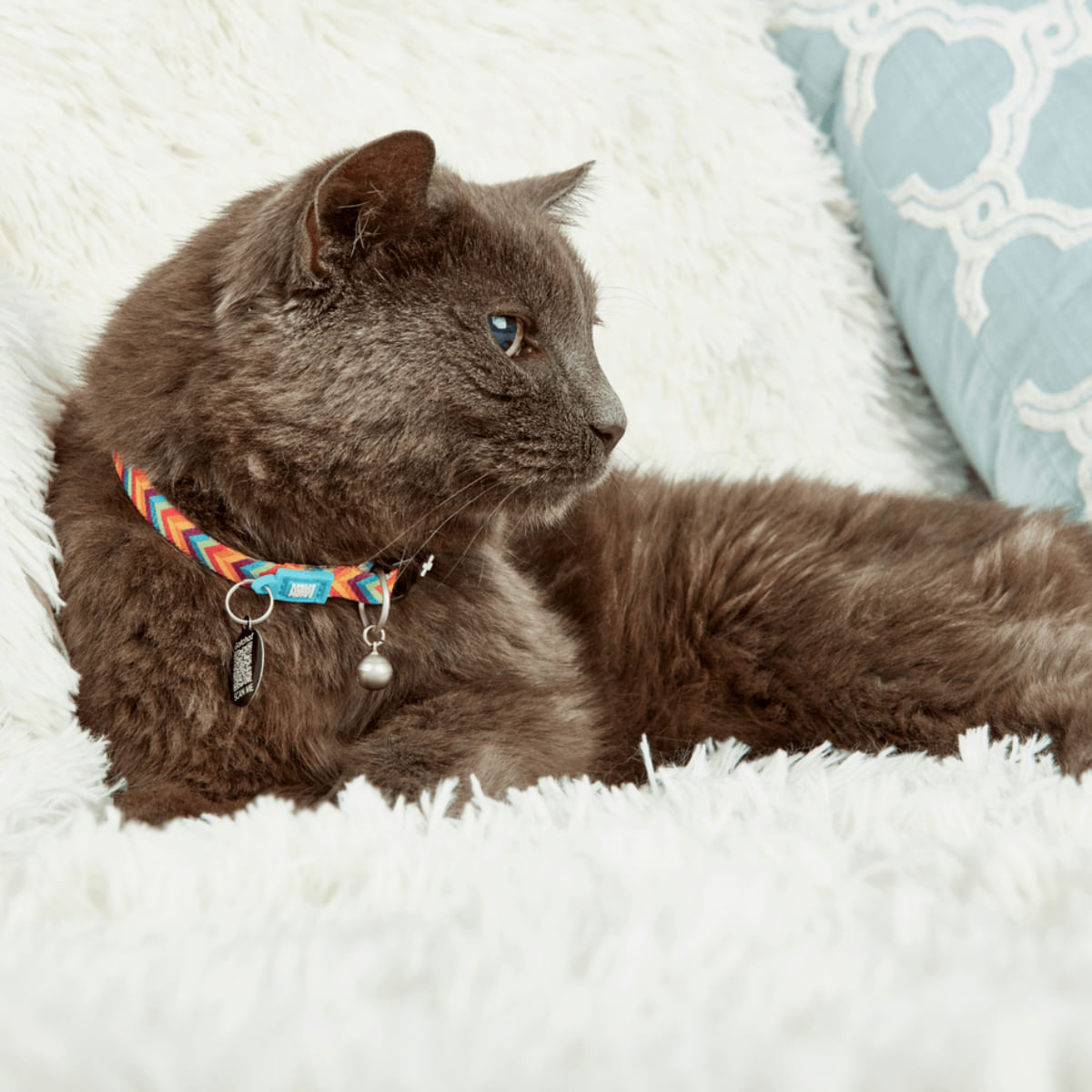 MAX &amp; MOLLY Smart ID Summertime, zgardă pisici, ajustabilă, poliester, portocaliu, cataramă trident, 22-35 x 1cm