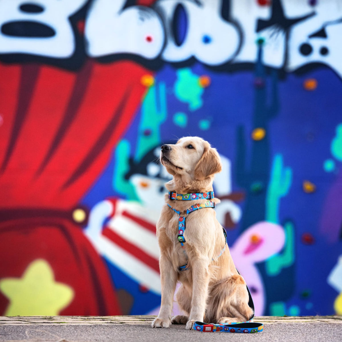 MAX &amp; MOLLY Little Monsters, ham prindere dublă(piept&amp;spate) câini, poliester, albastru, cataramă trident, S(43-53 x 1.5cm)