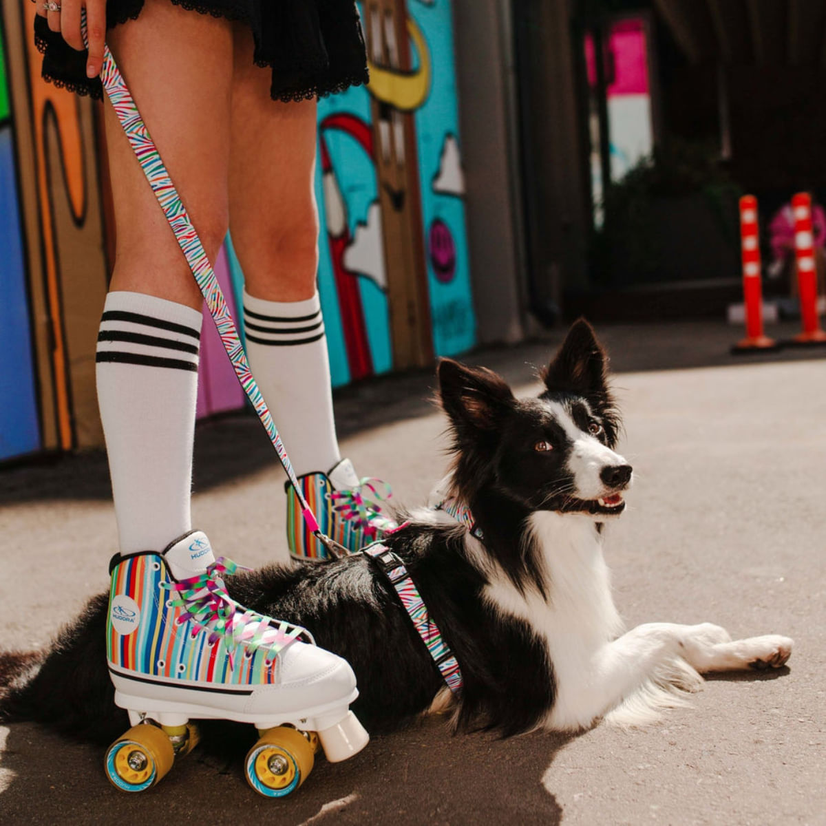 MAX &amp; MOLLY Smart ID Magic Zebra, zgardă câini, ajustabilă, poliester, alb, cataramă trident, M(34-55 x 2cm)