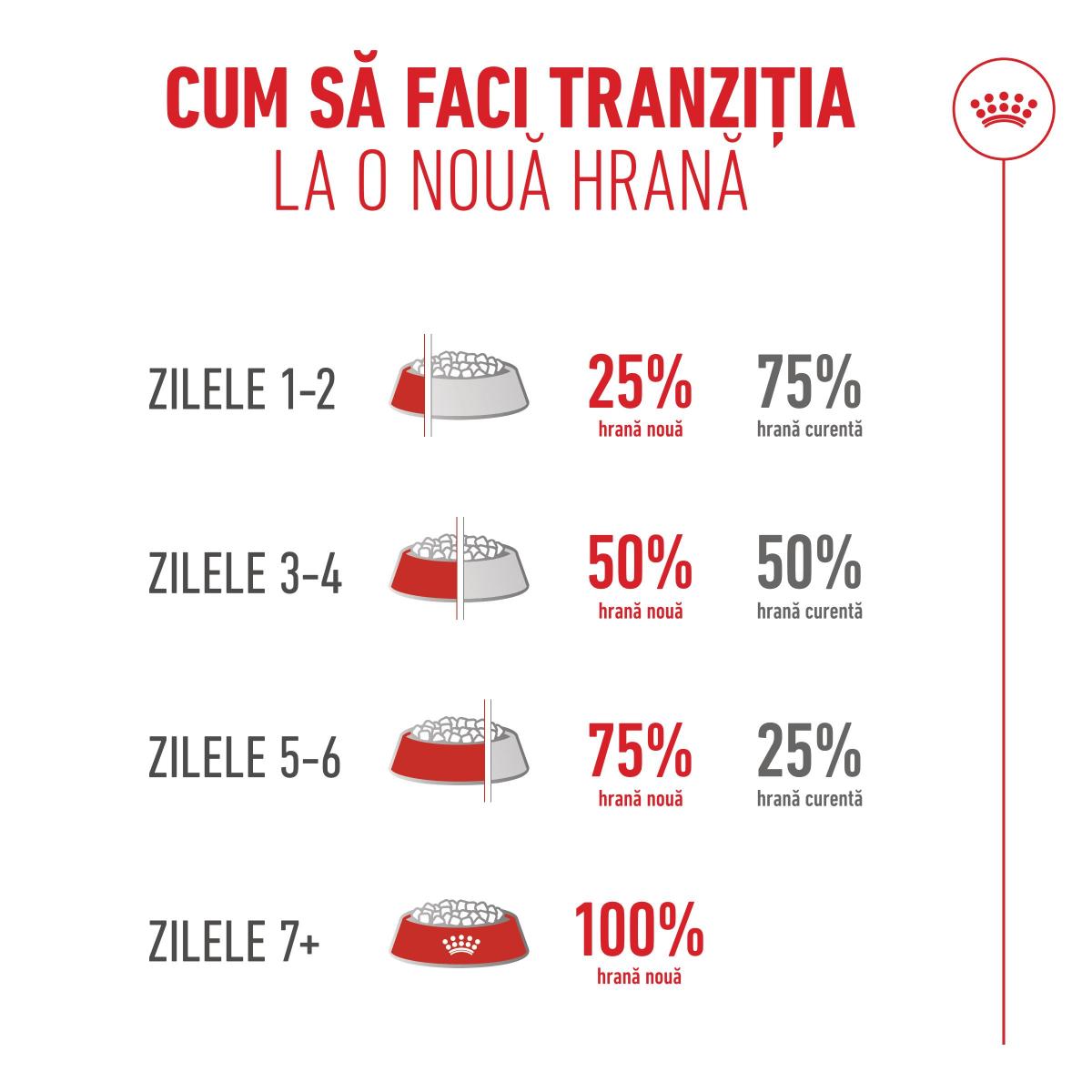 ROYAL CANIN Feline Health Nutrition Healthy Ageing 11+, hrană uscată pisici senior, 400g - imagine 12