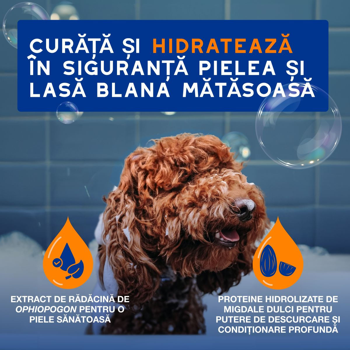 DOUXO SPA Shampoo 2 in 1 Conditioning, șampon și balsam 2în1 câini, descâlcirea blănii, Vanilie și Nucă de cocos, flacon, 250ml - imagine 3