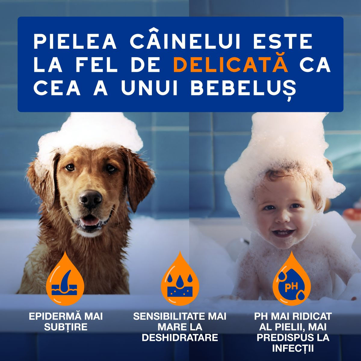 DOUXO SPA Shampoo 2 in 1 Conditioning, șampon și balsam 2în1 câini, descâlcirea blănii, Vanilie și Nucă de cocos, flacon, 250ml - imagine 4