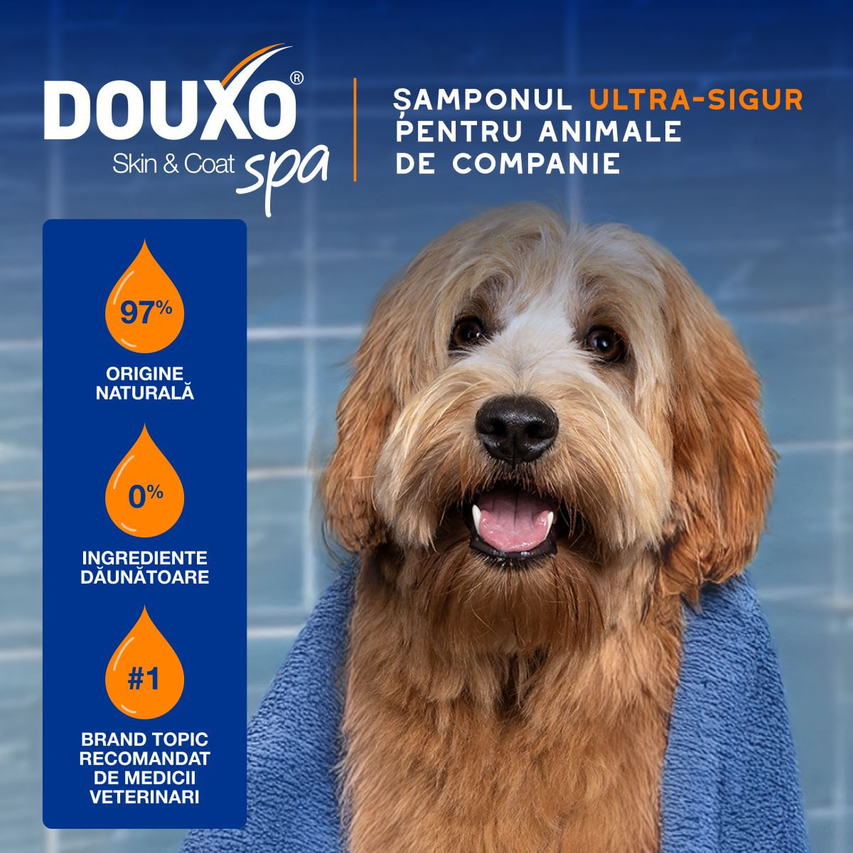 DOUXO SPA Shampoo 2 in 1 Conditioning, șampon și balsam 2în1 câini, descâlcirea blănii, Vanilie și Nucă de cocos, flacon, 250ml - imagine 5