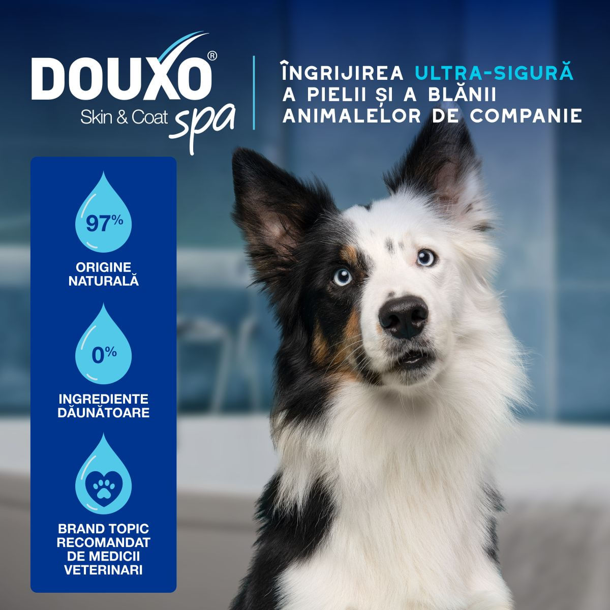 DOUXO SPA Ear Cleaner dewaxing, soluție igiena urechilor câini și pisici, hidratantă, hipoalergenică, flacon cu aplicator, 120ml
