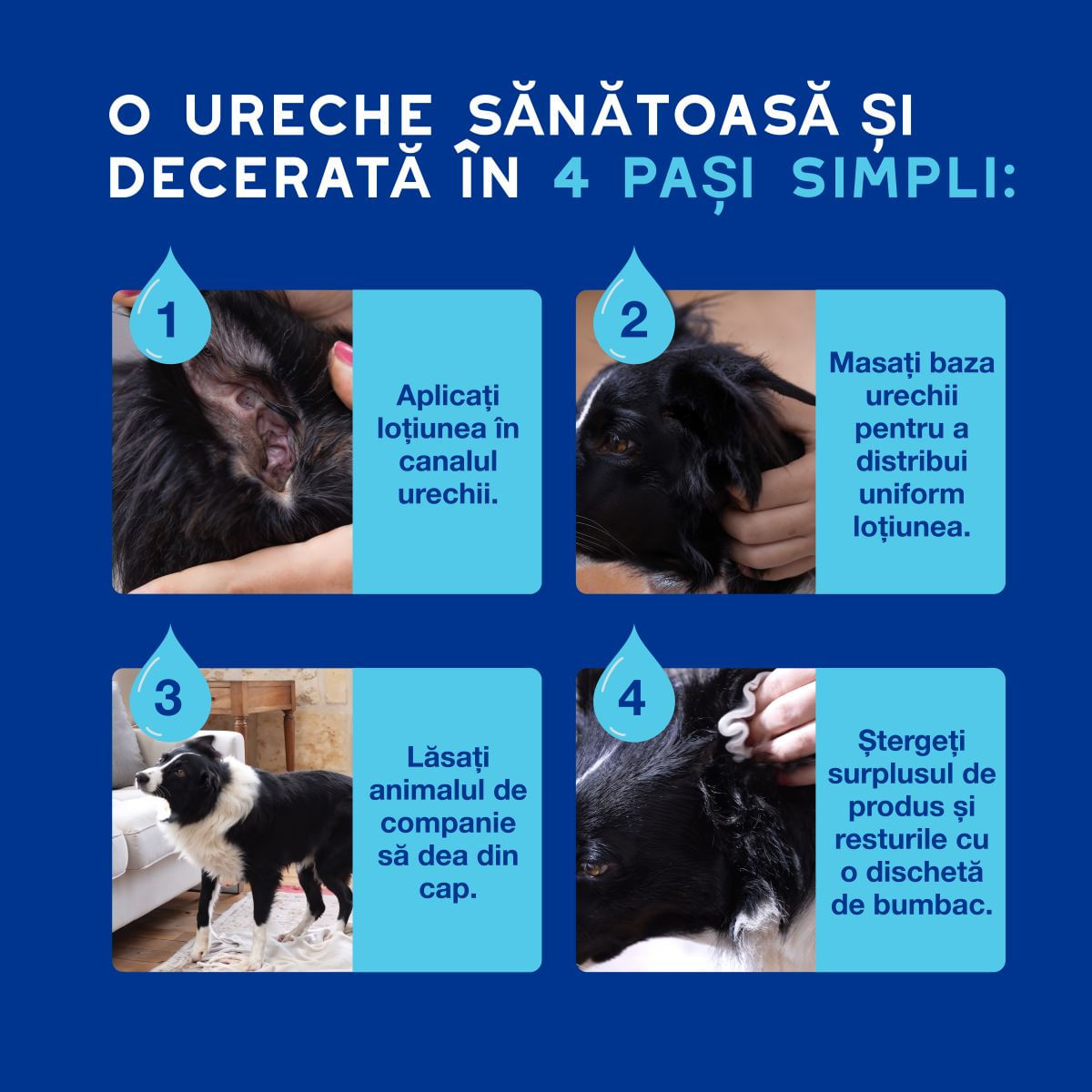 DOUXO SPA Ear Cleaner dewaxing, soluție igiena urechilor câini și pisici, hidratantă, hipoalergenică, flacon cu aplicator, 120ml