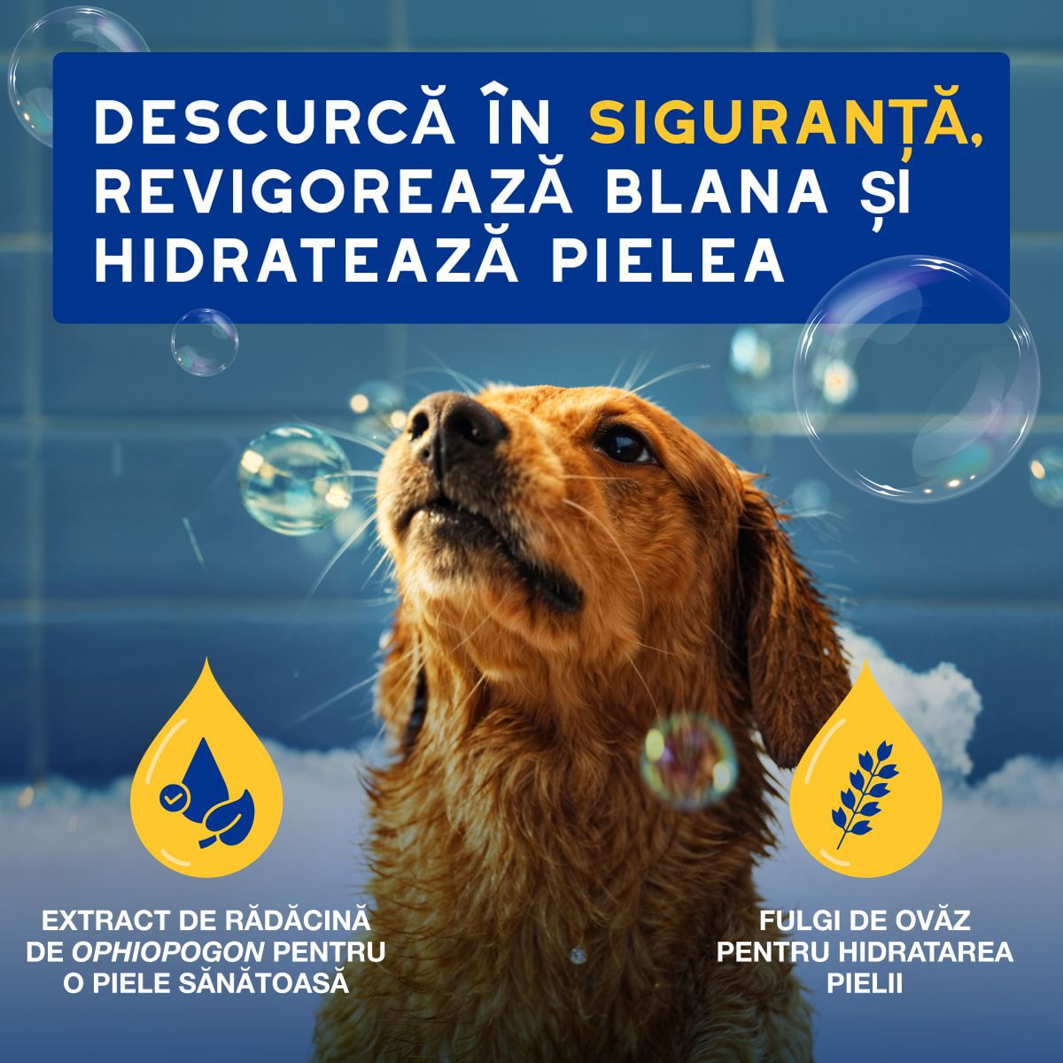 DOUXO SPA Conditioner Oatmeal, balsam câini, hidratant, descâlcirea blănii, Vanilie și Nucă de cocos, flacon, 250ml - imagine 3