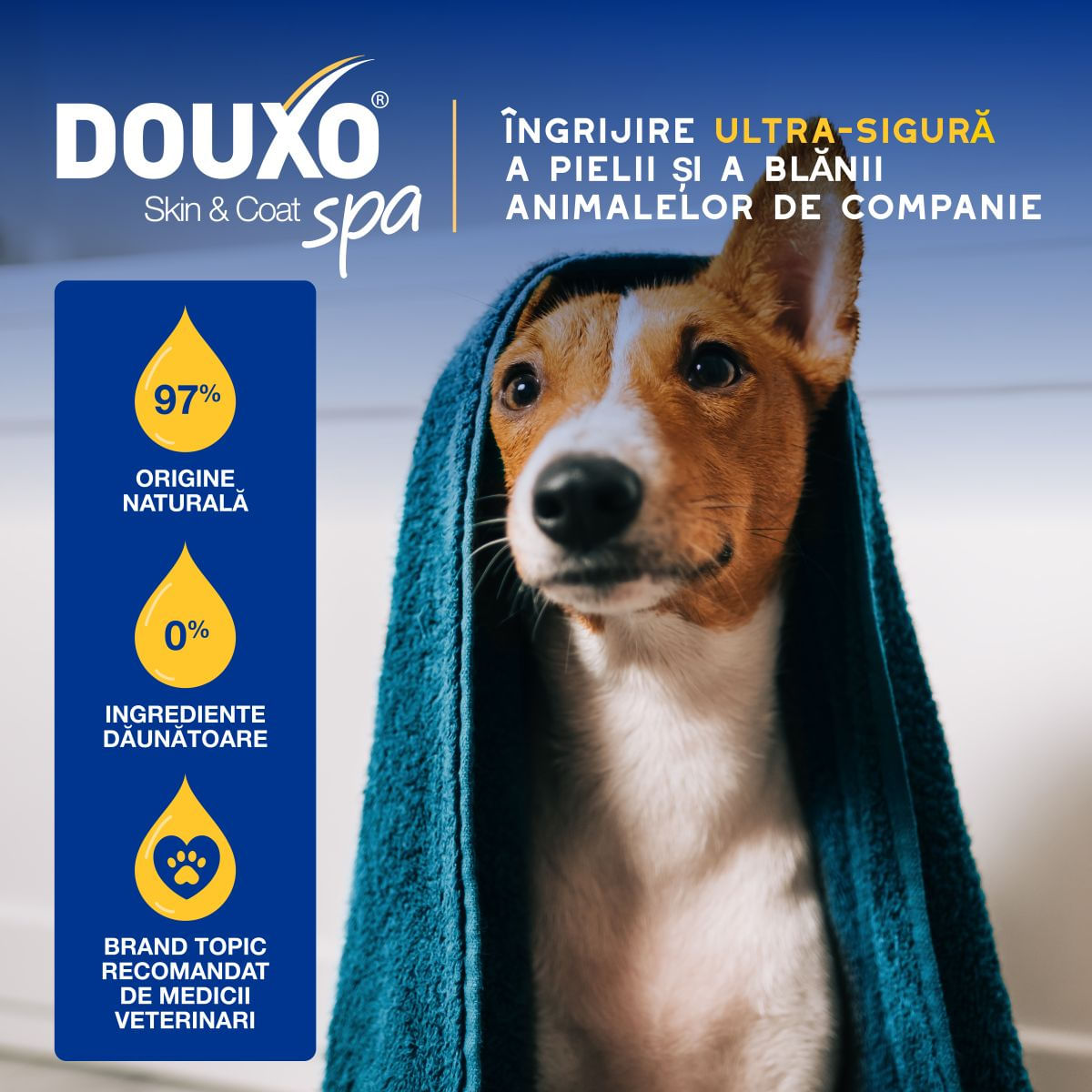 DOUXO SPA Conditioner Oatmeal, balsam câini, hidratant, descâlcirea blănii, Vanilie și Nucă de cocos, flacon, 250ml - imagine 5