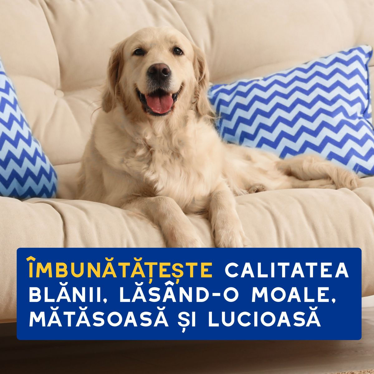 DOUXO SPA Conditioner Oatmeal, balsam câini, hidratant, descâlcirea blănii, Vanilie și Nucă de cocos, flacon, 250ml - imagine 8