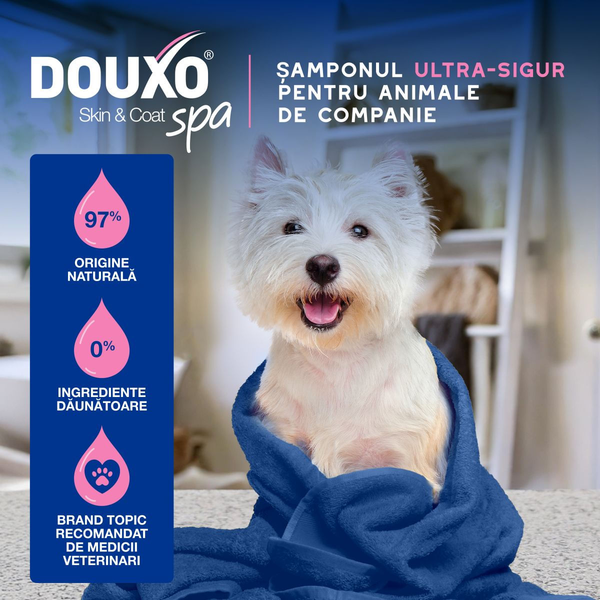 DOUXO SPA Itch Soothing, șampon câini, anti-mâncărime, calmant, Vanilie și Nucă de cocos, flacon, 250ml - imagine 5