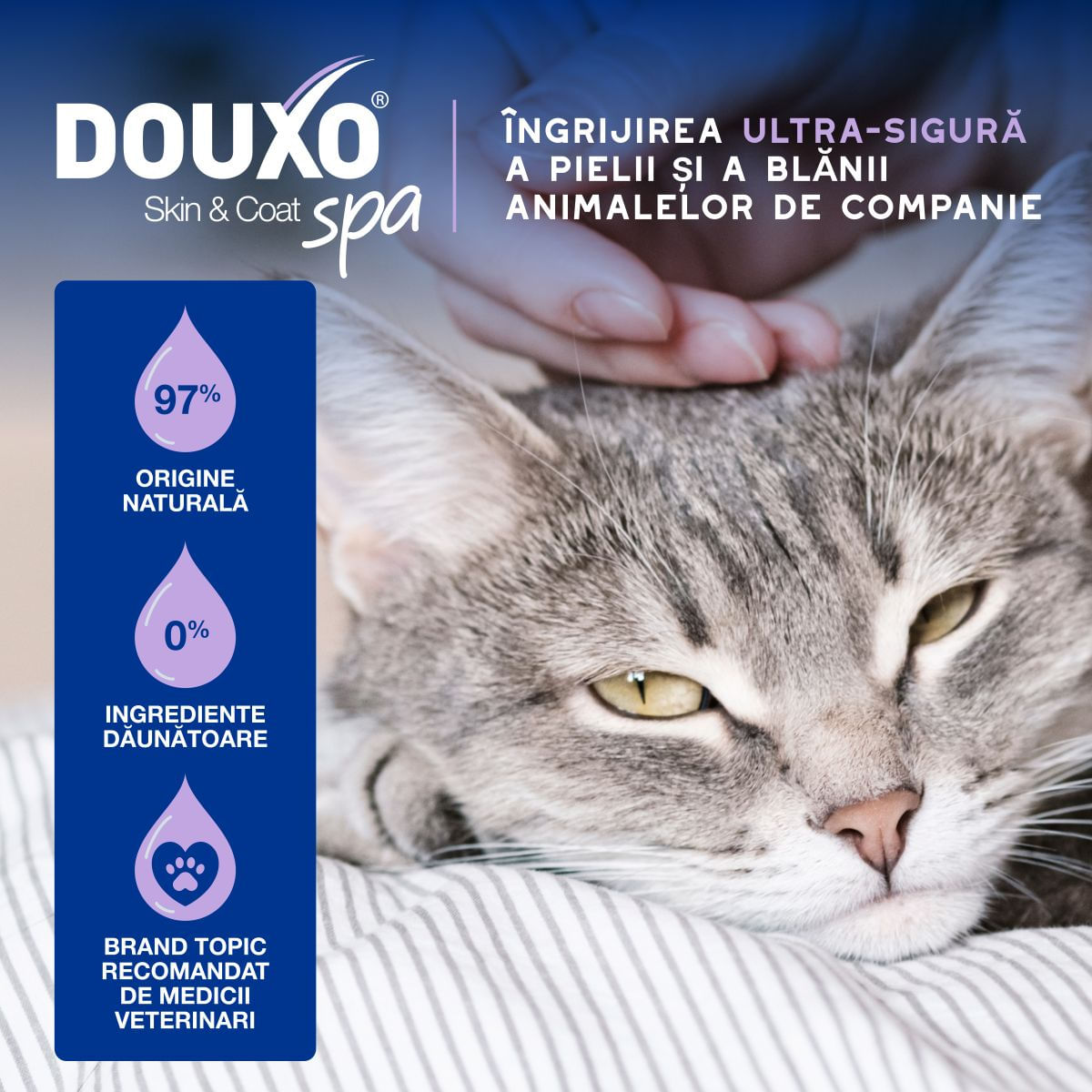 DOUXO SPA Low-Stress Refresh Mousse, șampon spumă pisici, fără clătire, hidratantă, Vanilie și Nucă de cocos, flacon cu aplicator, 150ml