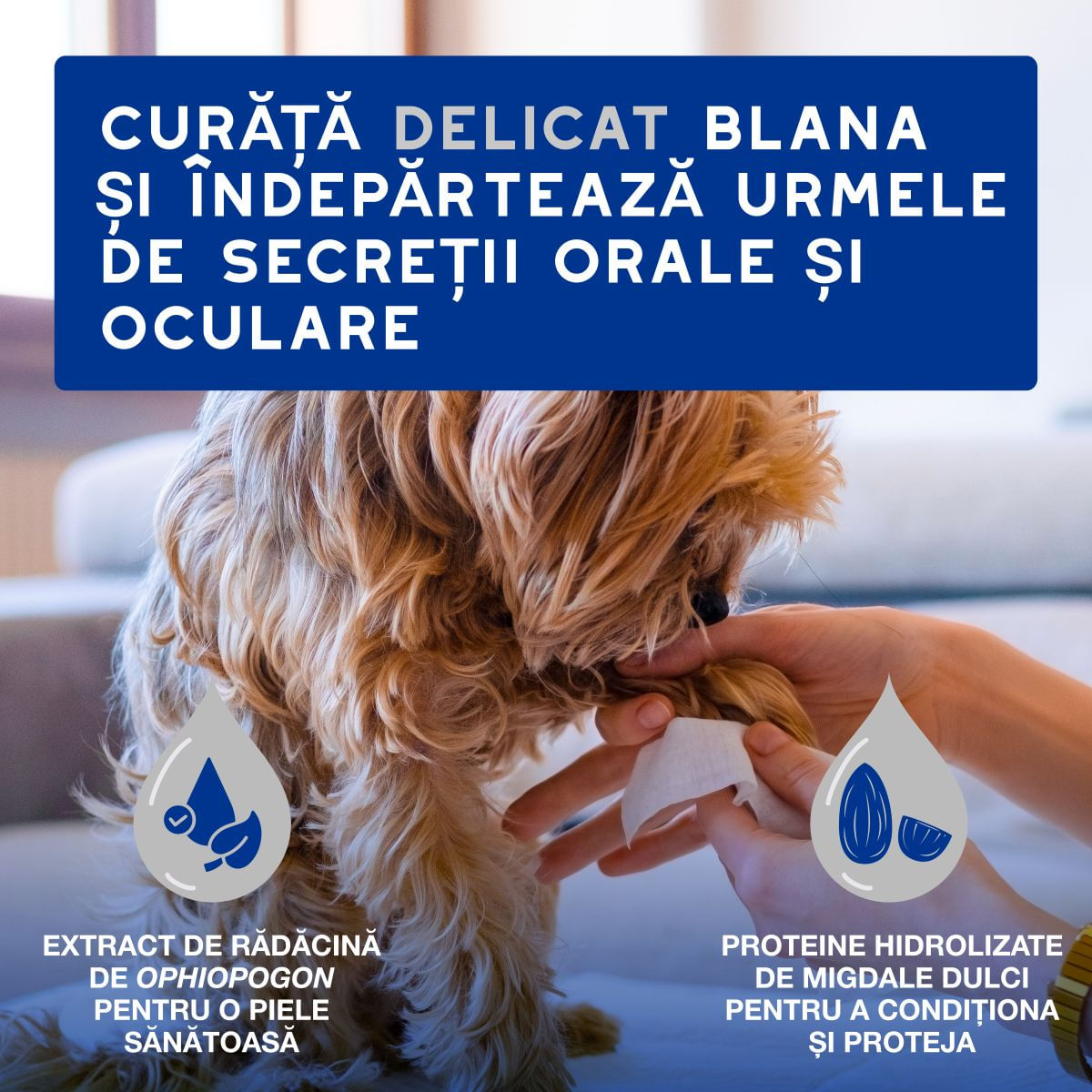 DOUXO SPA Multipurpose , șervețele umede câini și pisici, hipoalergenice, Vanilie și Nucă de cocos, resigilabil, 100buc - imagine 3