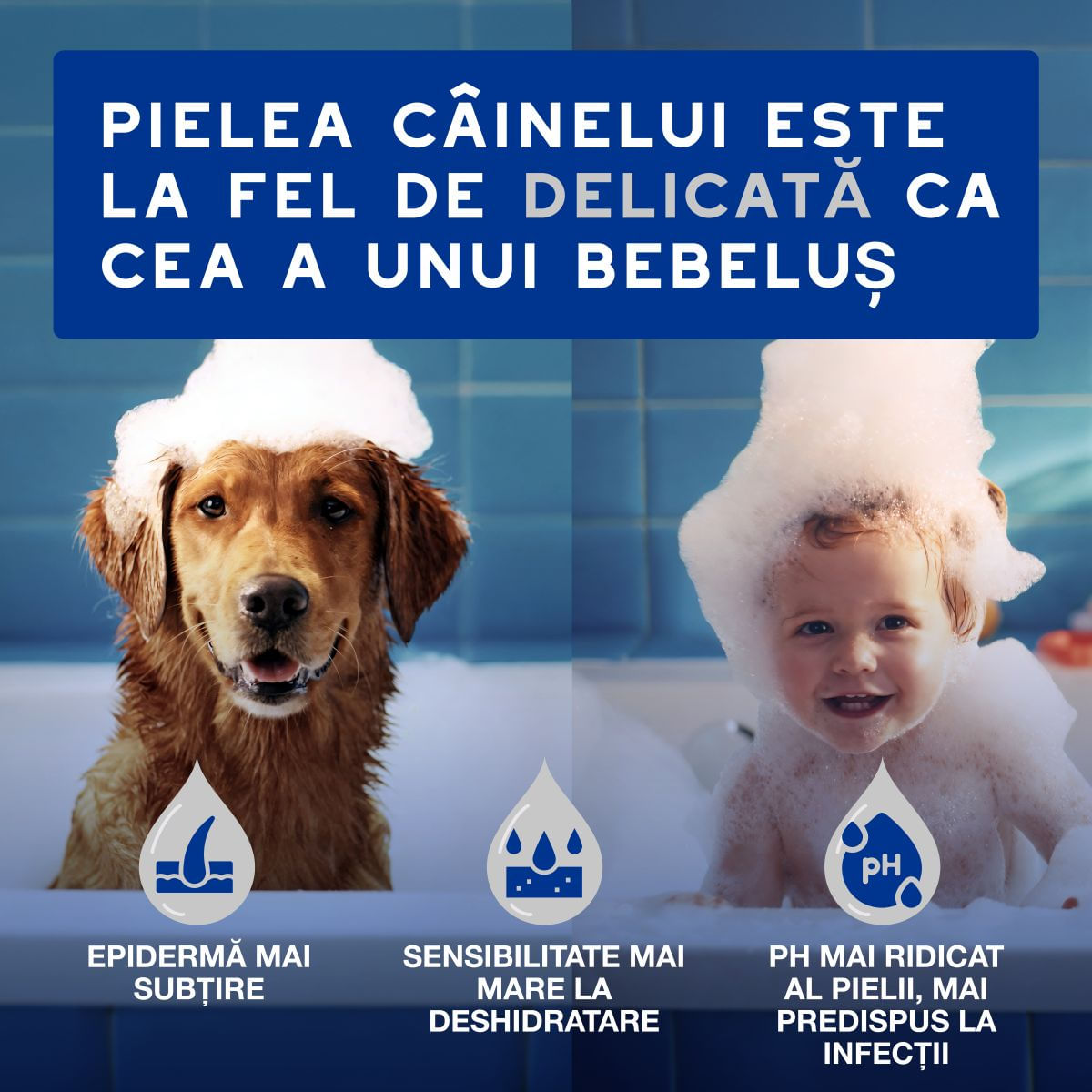 DOUXO SPA Multipurpose , șervețele umede câini și pisici, hipoalergenice, Vanilie și Nucă de cocos, resigilabil, 100buc - imagine 4