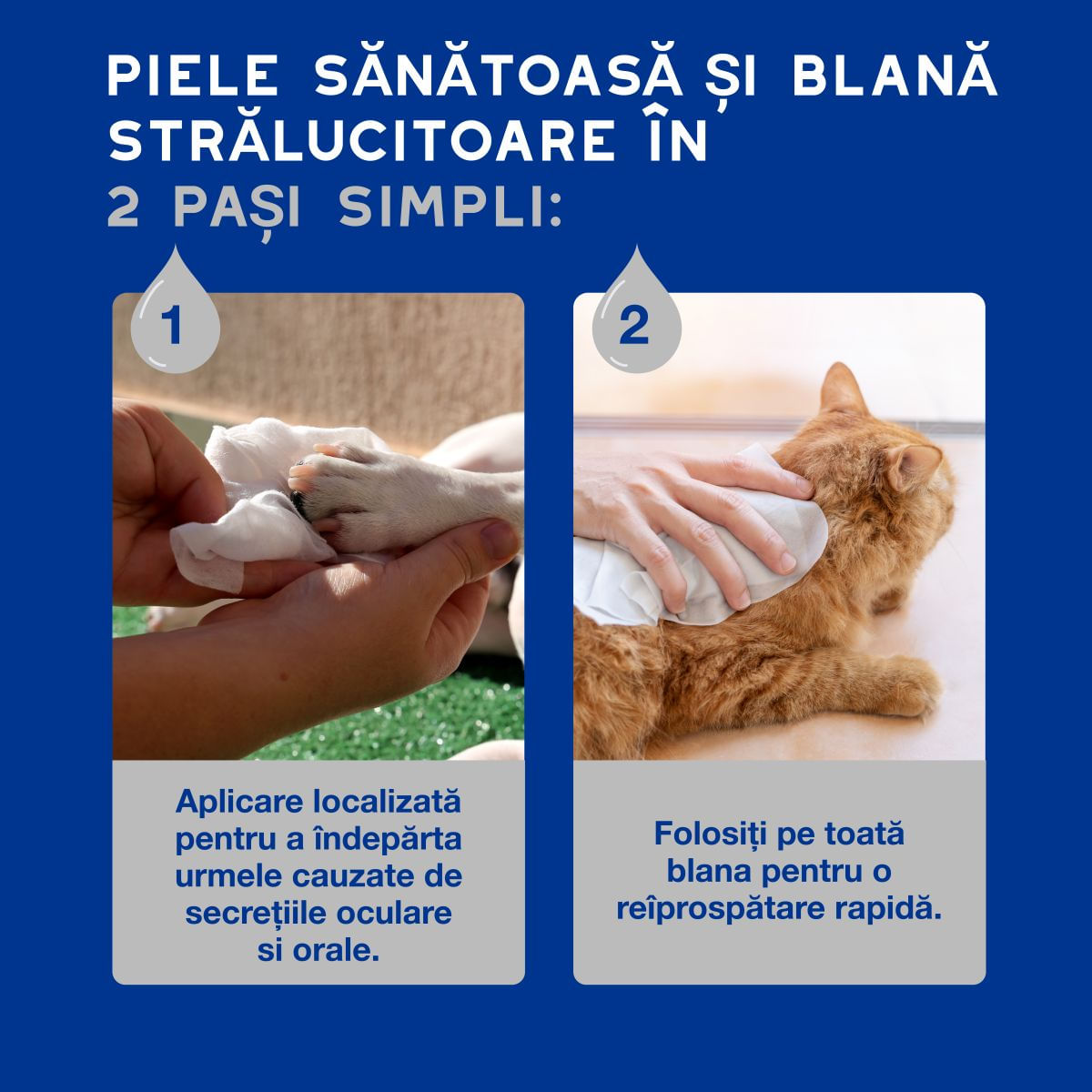 DOUXO SPA Multipurpose , șervețele umede câini și pisici, hipoalergenice, Vanilie și Nucă de cocos, resigilabil, 100buc - imagine 7