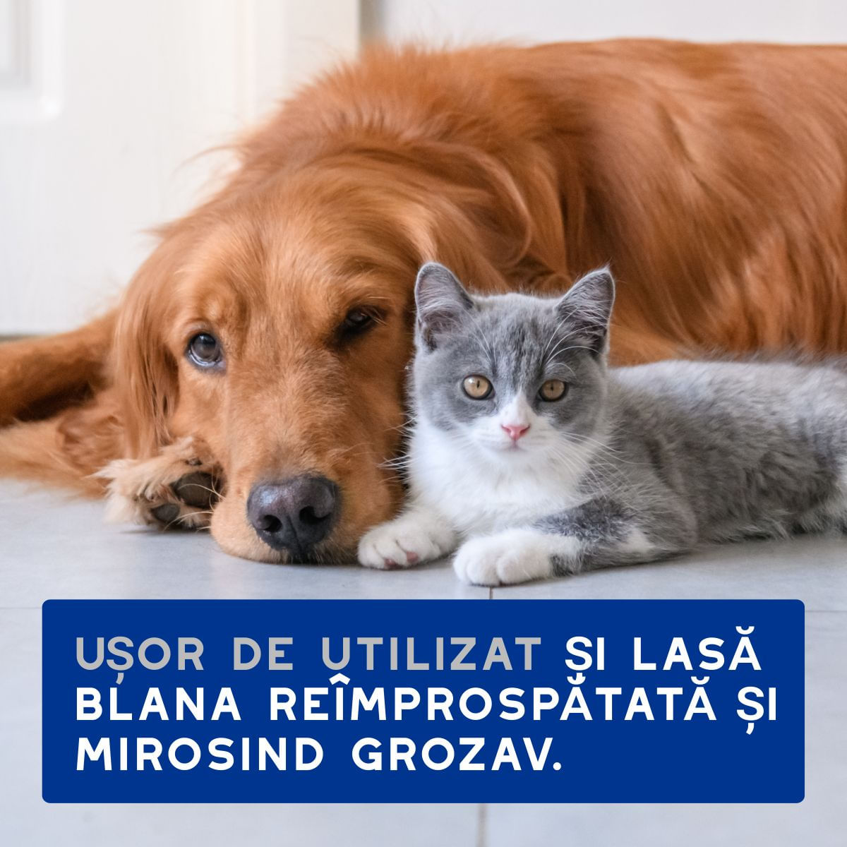 DOUXO SPA Multipurpose , șervețele umede câini și pisici, hipoalergenice, Vanilie și Nucă de cocos, resigilabil, 100buc - imagine 8