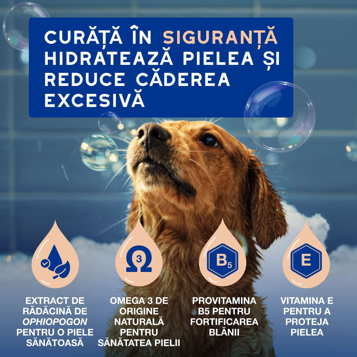 DOUXO SPA Shed Control, șampon câini, anti-năpârlire, Vanilie și Nucă de cocos, flacon, 250ml