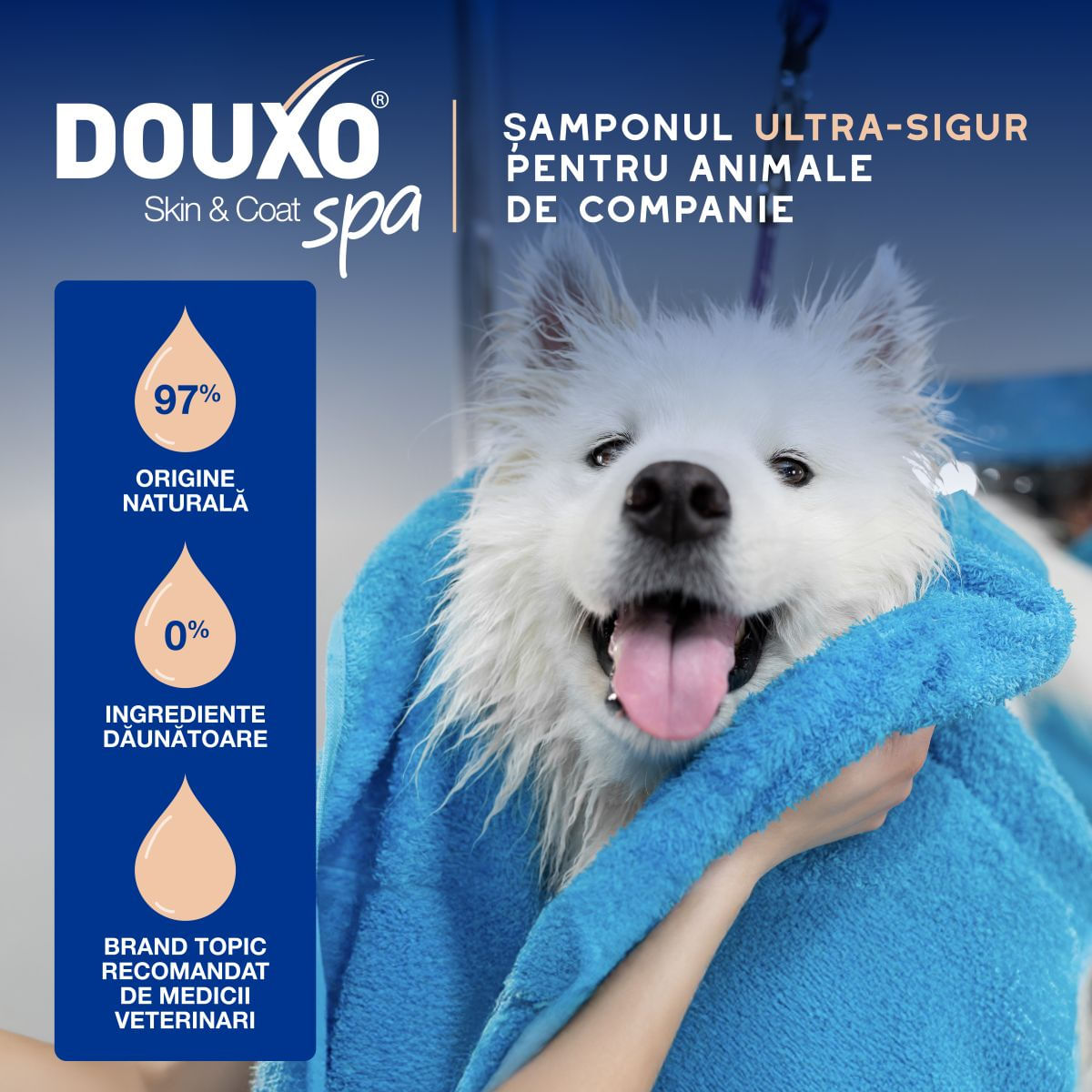 DOUXO SPA Shed Control, șampon câini, anti-năpârlire, Vanilie și Nucă de cocos, flacon, 250ml