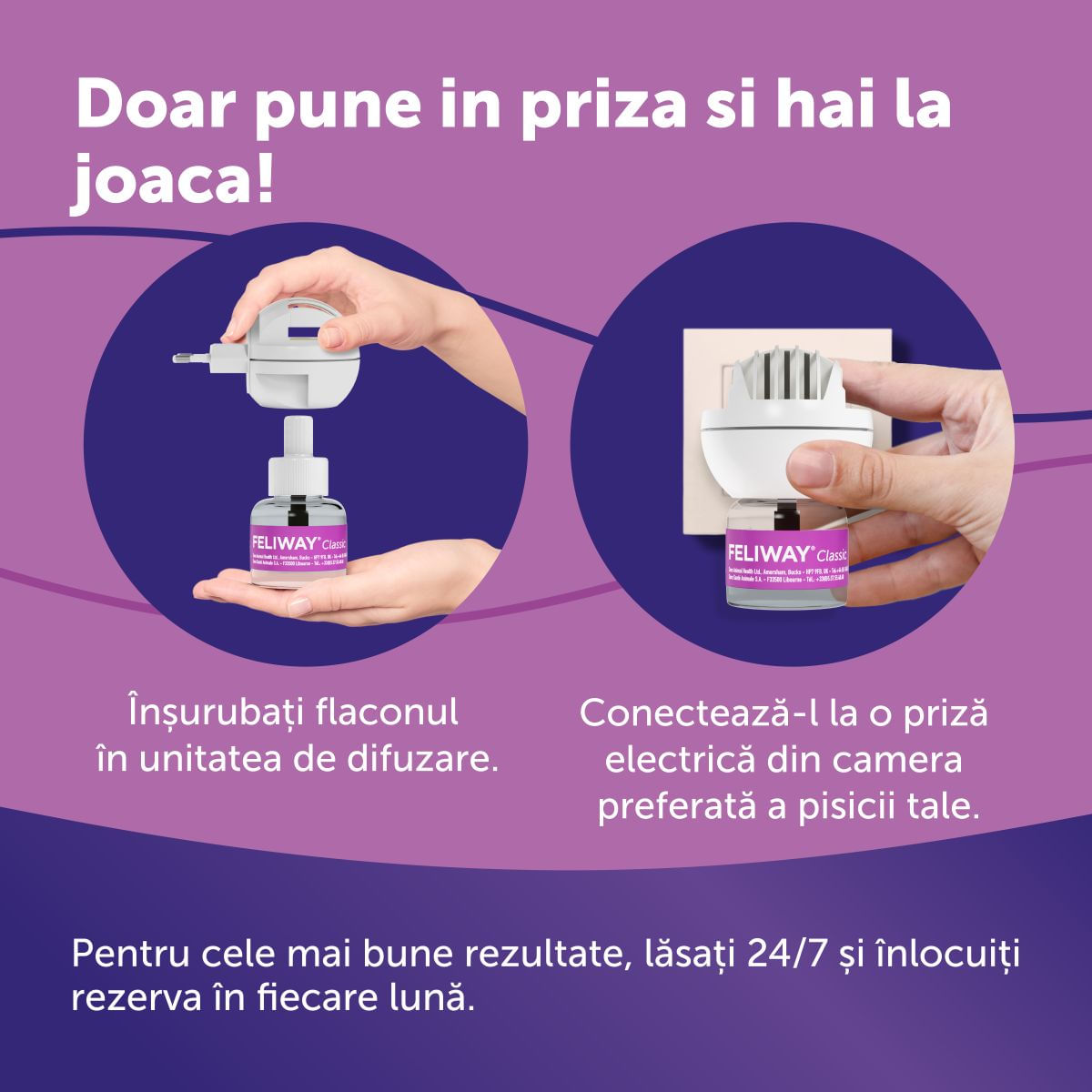 Aceasta este imaginea corespunzatoare acestui obiect