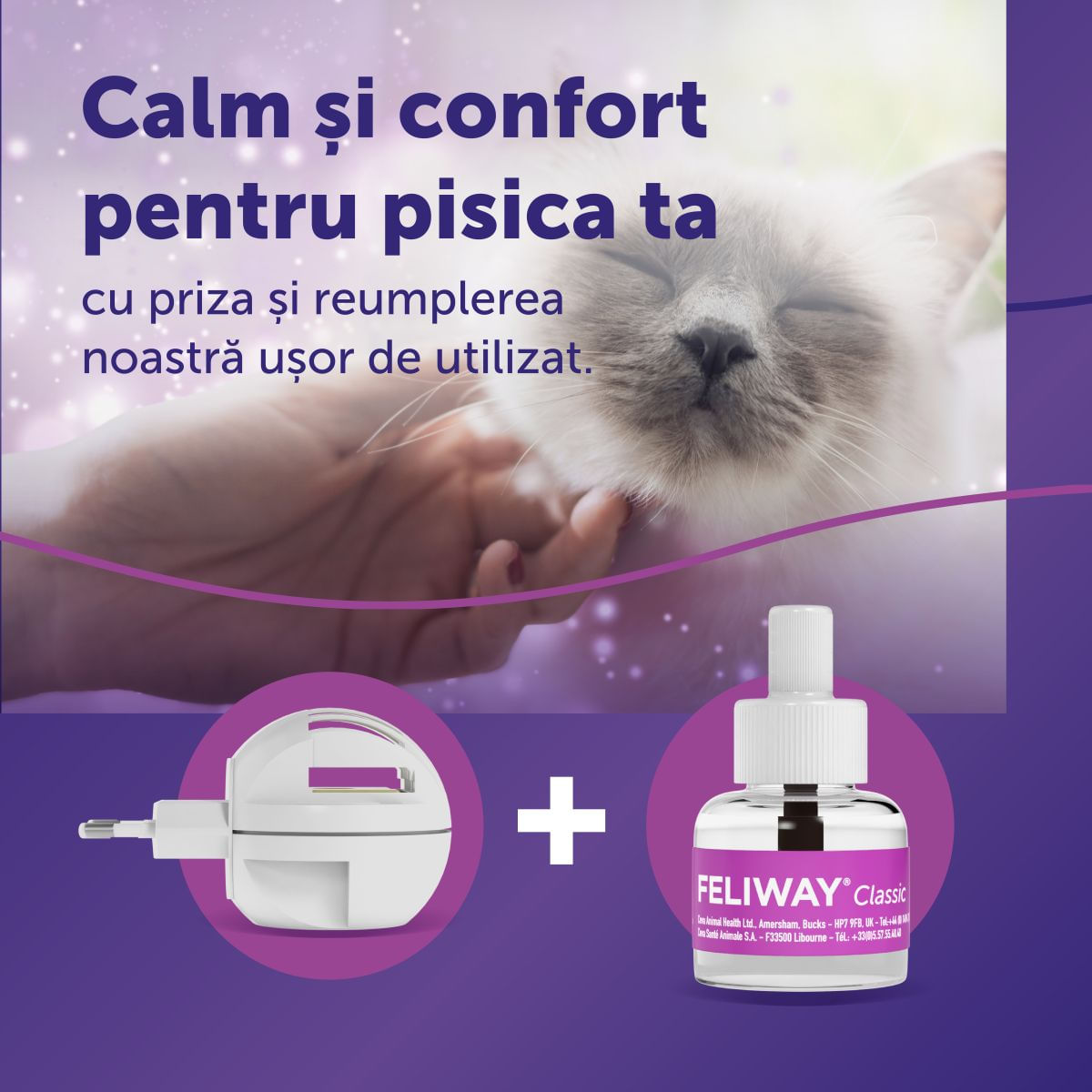Aceasta este imaginea corespunzatoare acestui obiect