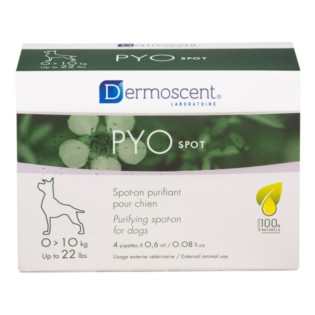 DERMOSCENT PYO spot, tratament adjuvant piele & blană câini, pipete, 4buc DERMOSCENT PYO spot 0 -10kg, tratament adjuvant piele & blană câini, 0.6ml x 4buc pipete