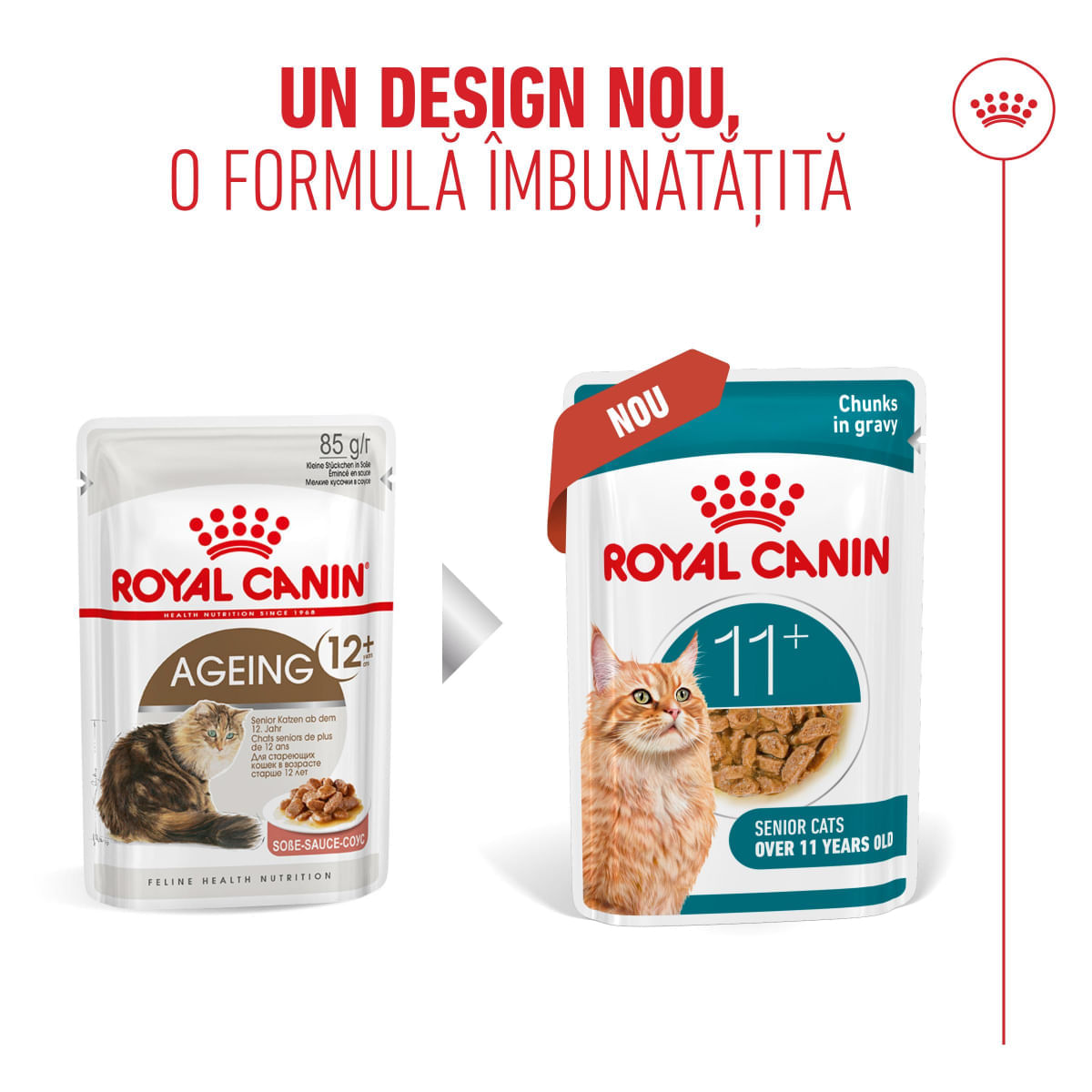 ROYAL CANIN Feline Health Nutrition Healthy Ageing 11+, plic hrană umedă pisici senior, (în sos), bax, 85g x 12buc