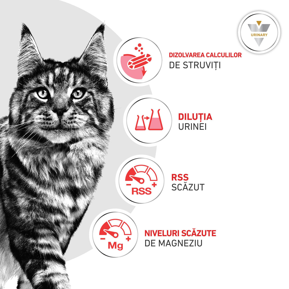 ROYAL CANIN VD Urinary S/O, dietă veterinară, hrană uscată pisici, sistem urinar, 3.5kg