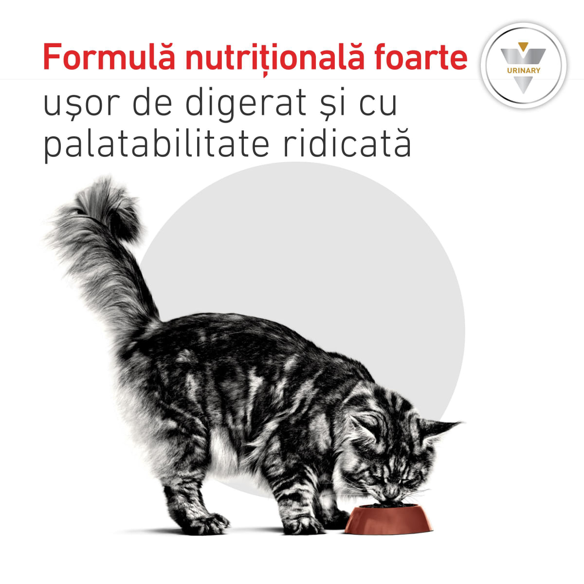 ROYAL CANIN VD Urinary S/O, dietă veterinară, hrană uscată pisici, sistem urinar, 3.5kg