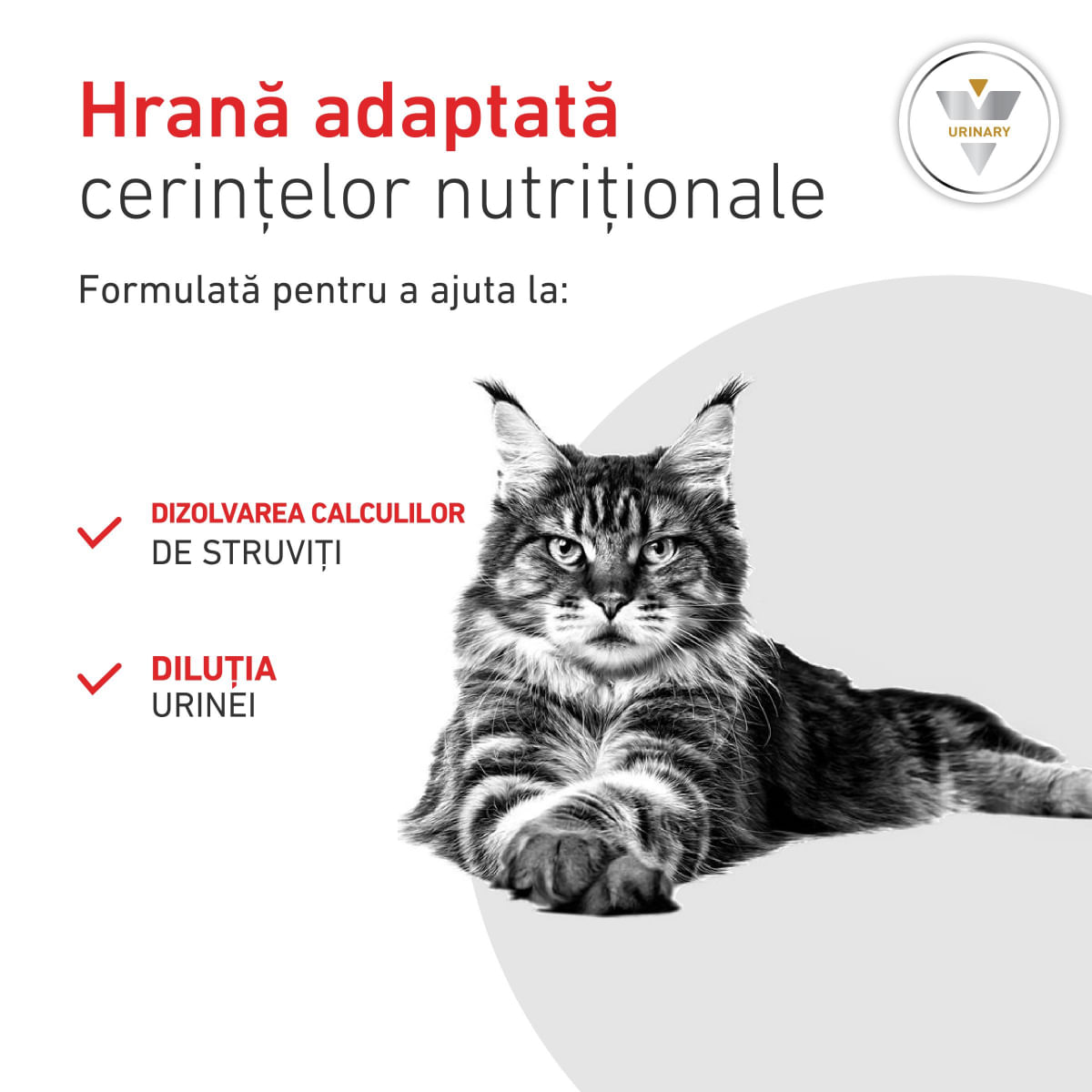 ROYAL CANIN VD Urinary S/O, dietă veterinară, hrană uscată pisici, sistem urinar, 400g
