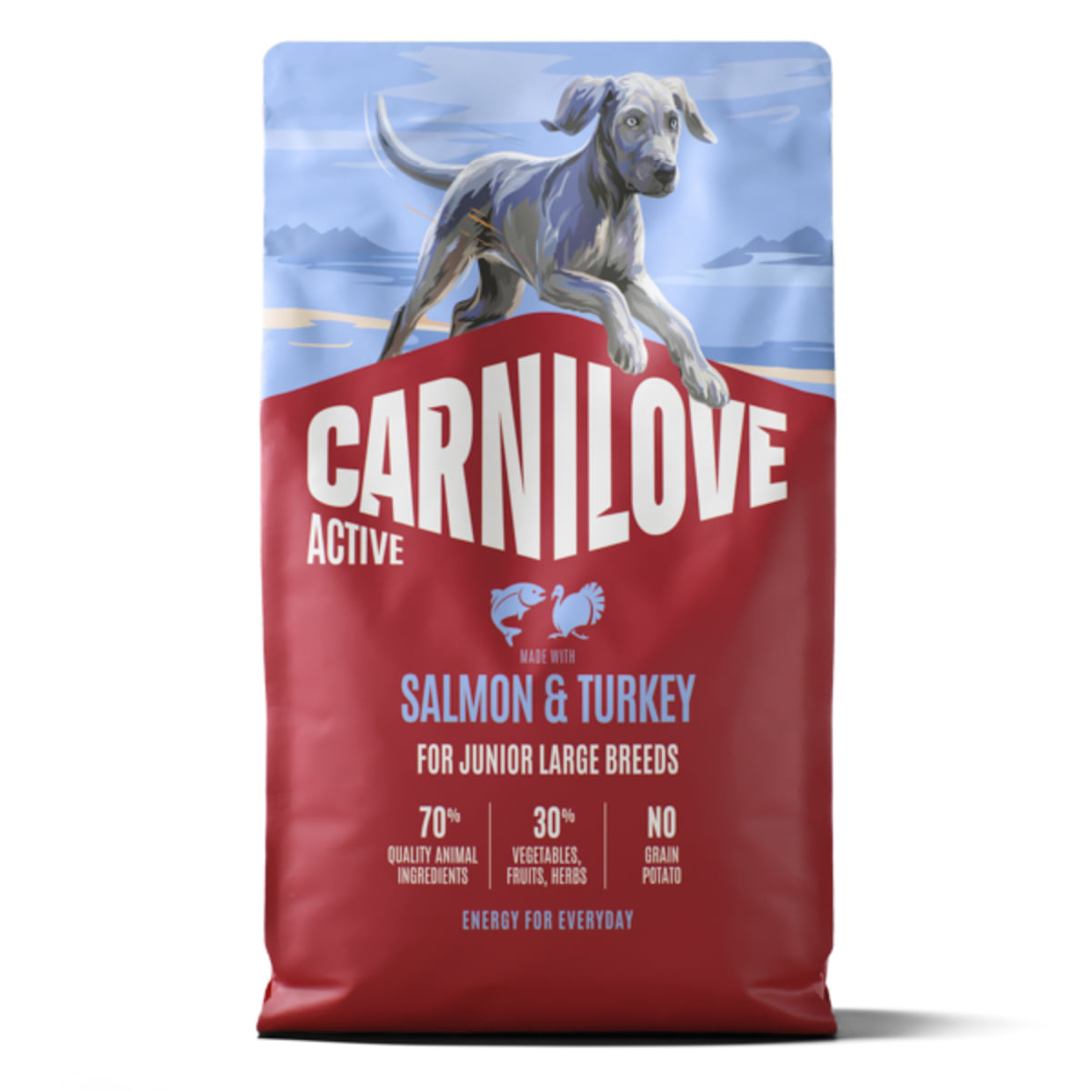 CARNILOVE Active Junior Large Breeds, L-XL, Somon și Curcan, hrană uscată fără cereale câini junior, 4kg
