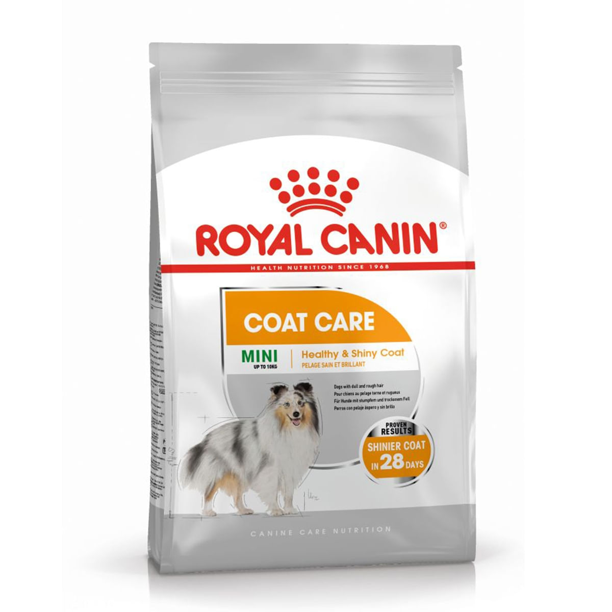Royal Canin Coat Care Adult, hrană umedă câini, blană sănătoasă și lucioasă, (pate) Royal Canin Coat Care Adult, bax hrană umedă câini, blană sănătoasă și lucioasă, (pate), 85g x 12