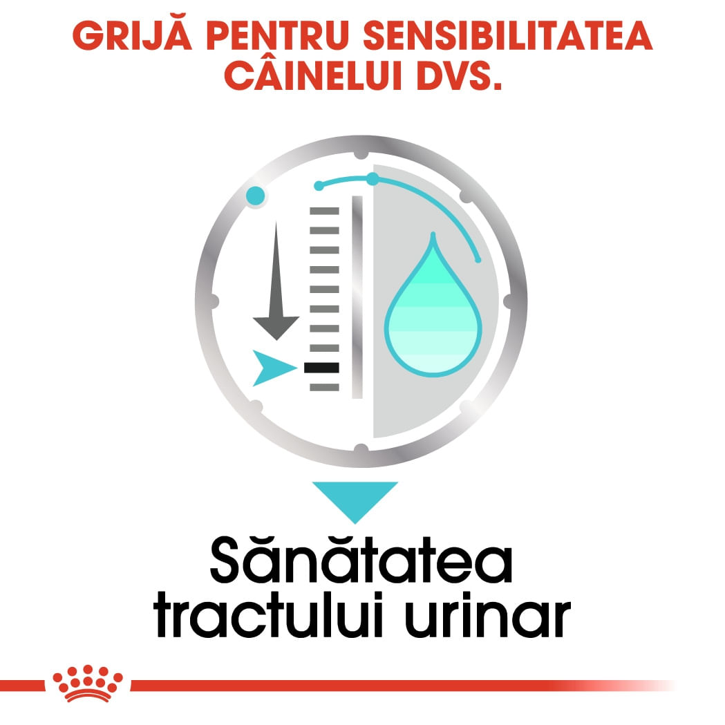 Royal Canin Urinary Care Adult, hrană umedă câini, sănătatea tractului urinar Royal Canin Urinary Care Adult, bax hrană umedă câini, sănătatea tractului urinar, (pate) 85g x 12